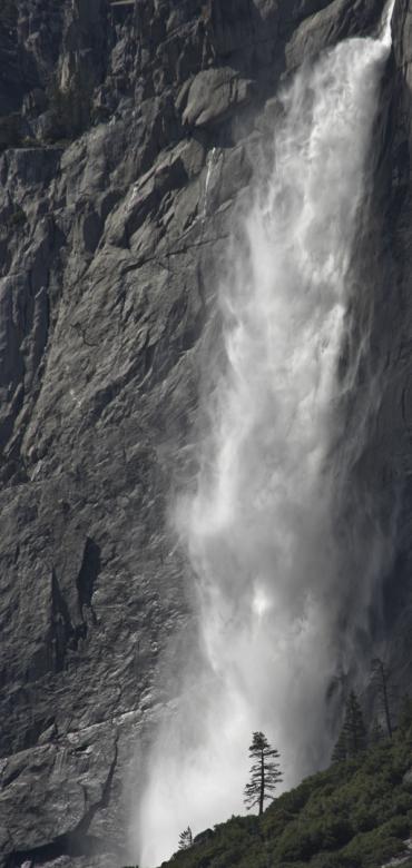 Yosemite waterfall and lone tree - Yosemite waterfall
